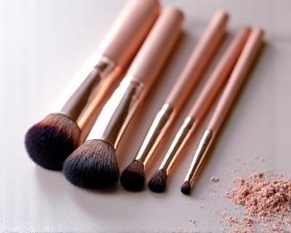 Professional makeup brush set